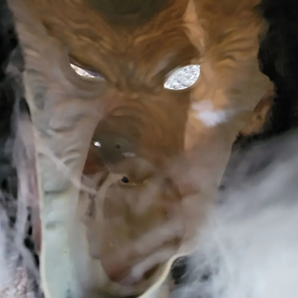 EC WOLF MASK OSFM